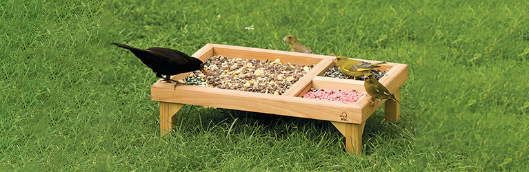 How to make a bird feeder?