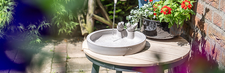 How to clean a bird bath 