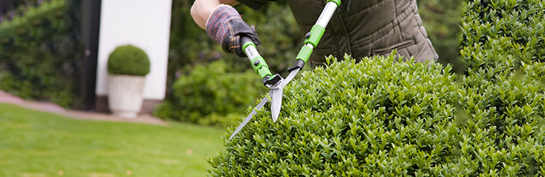 When to cut your hedge?