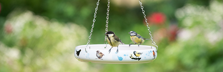 How to make the perfect bird bath: a guide for a bird-friendly garden 
