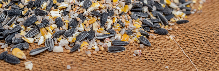 What's in a Bird Seed Mix?