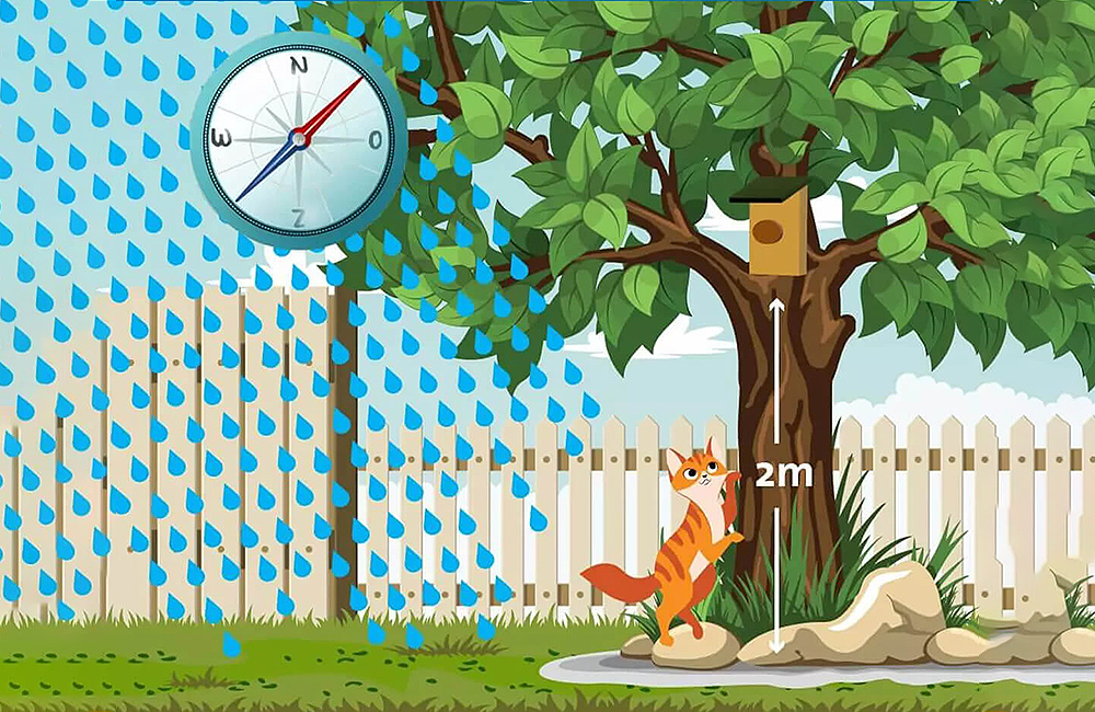 Infographic about how high a bird box should be placed