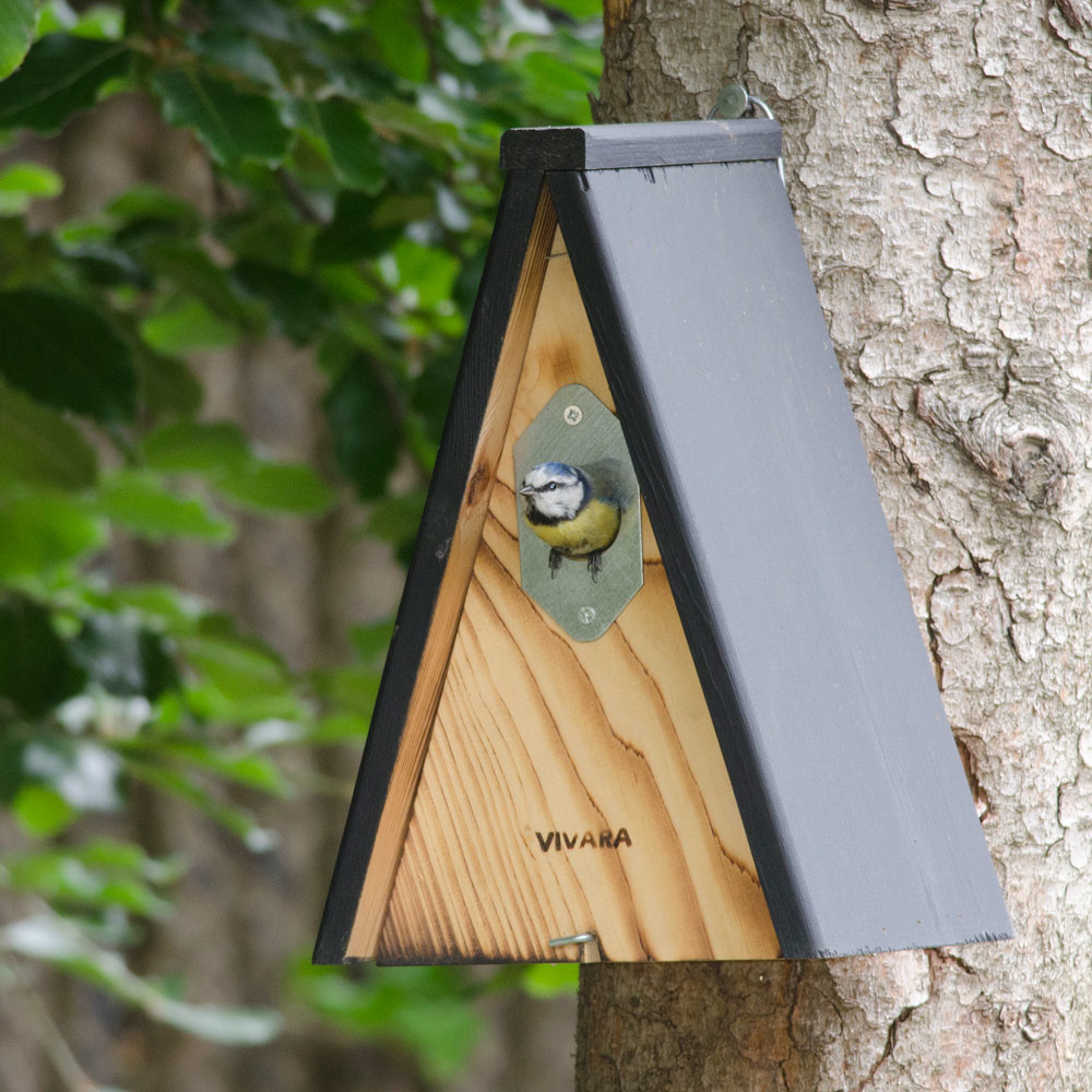 nest box