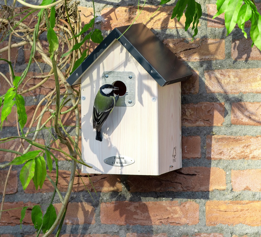 nest box