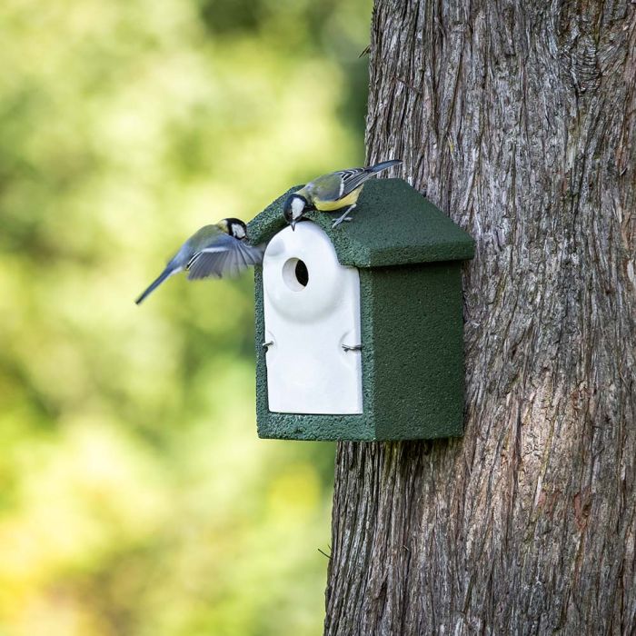 National Trust WoodStone® Green 32mm Nest Box