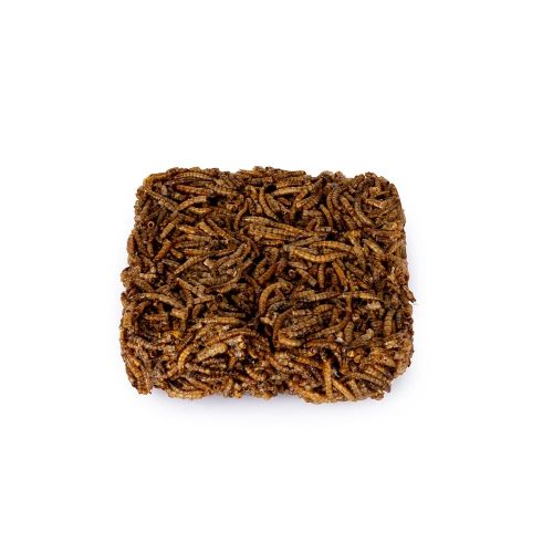 Dried Mealworm Square for Birds 90g