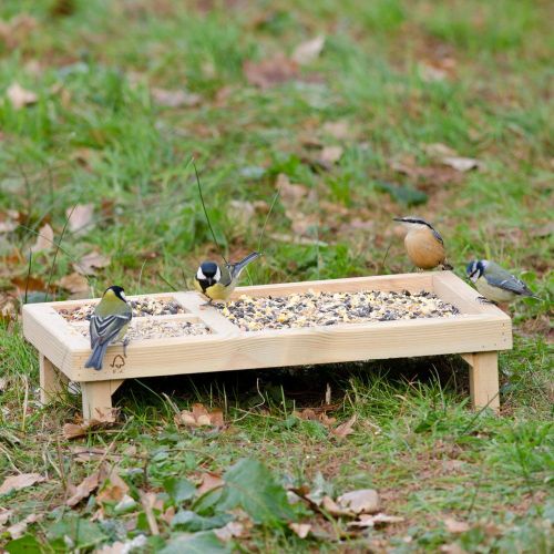 Selection Bird Table