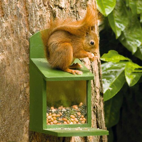 Wooden Squirrel Feeding Pack