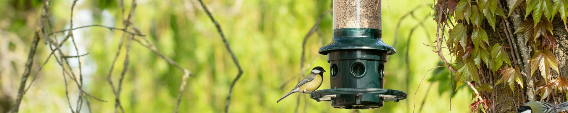 Squirrel Buster Feeders