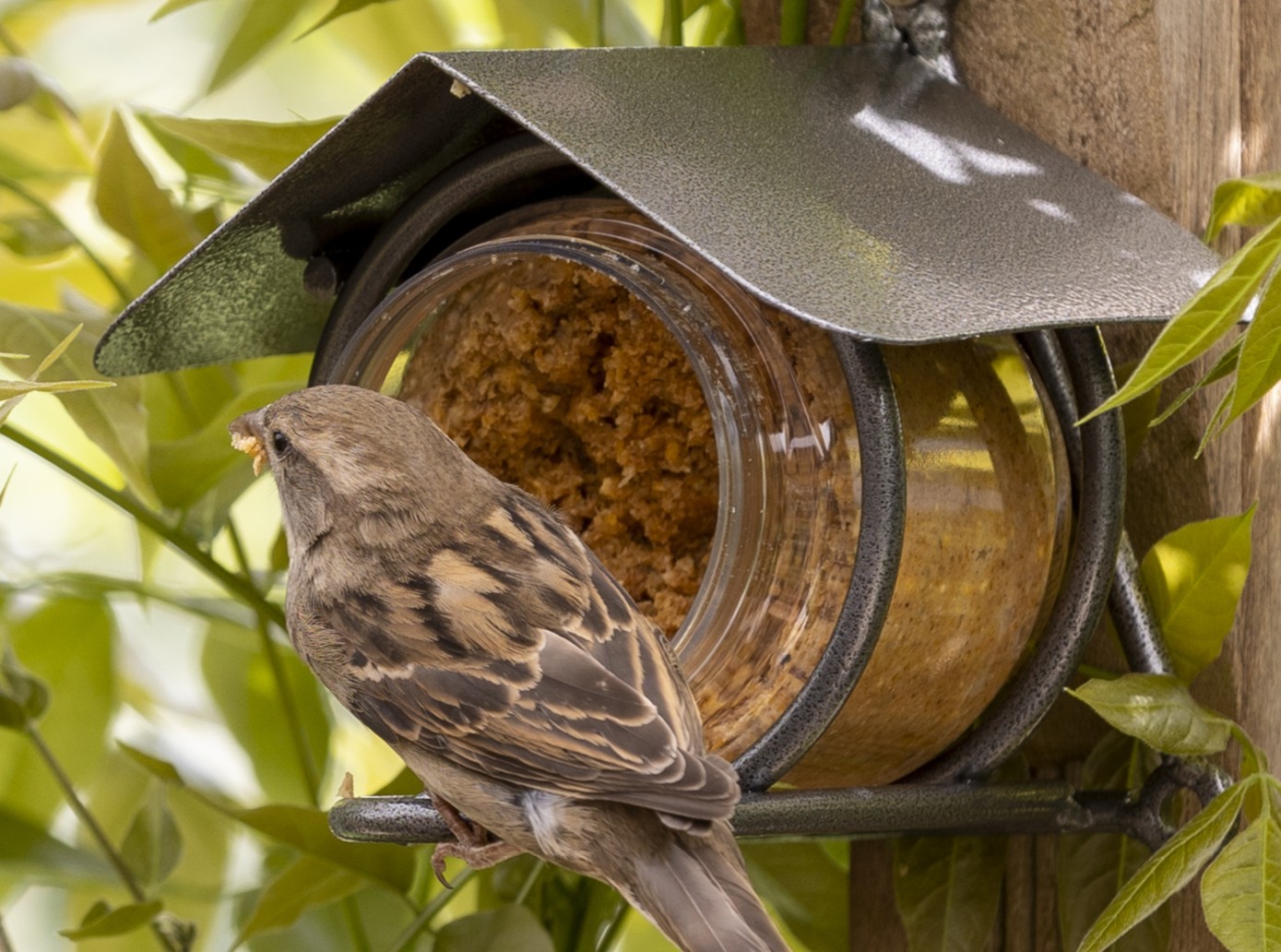 Child smiles while presenting the assembled nest box building kit