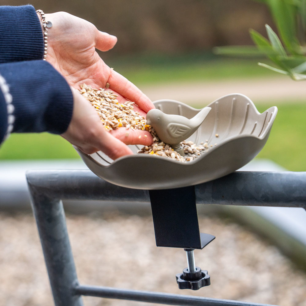 A nest box with snow on the roof