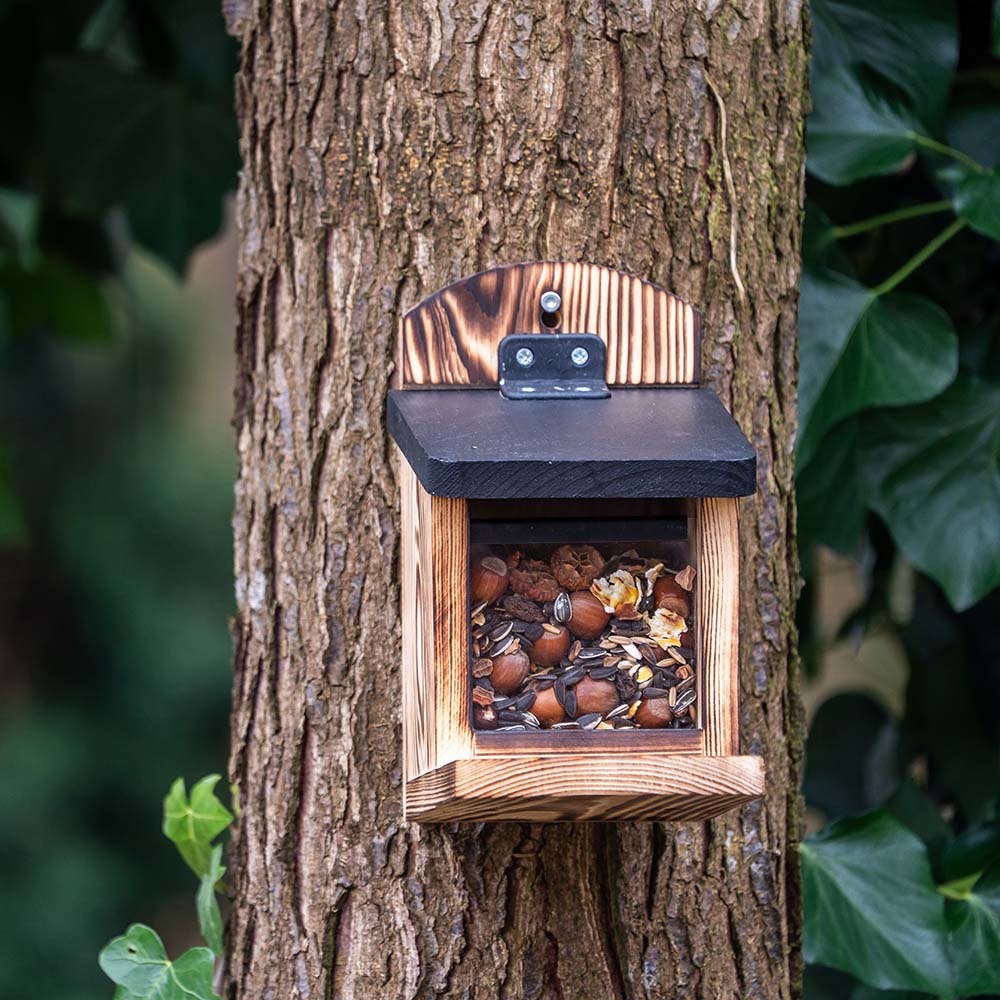 Woodpecker on a tree