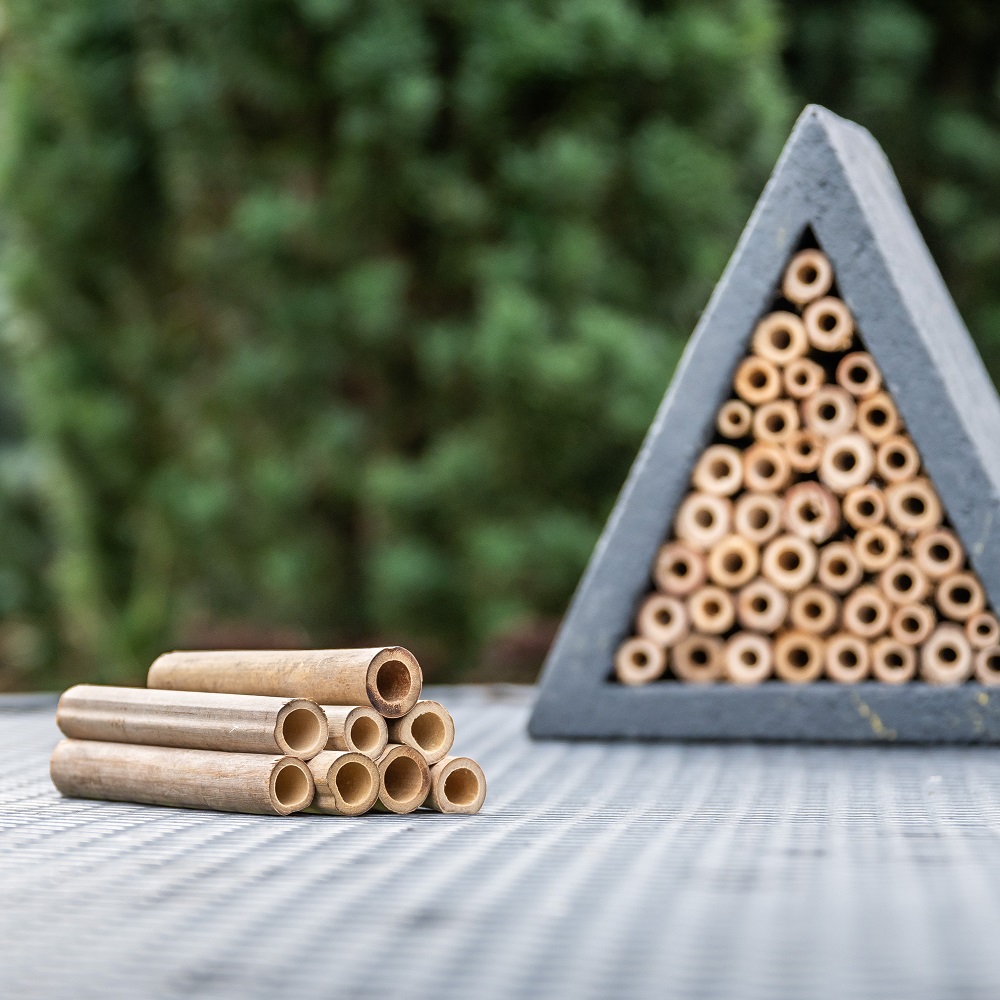 A nest box with snow on the roof