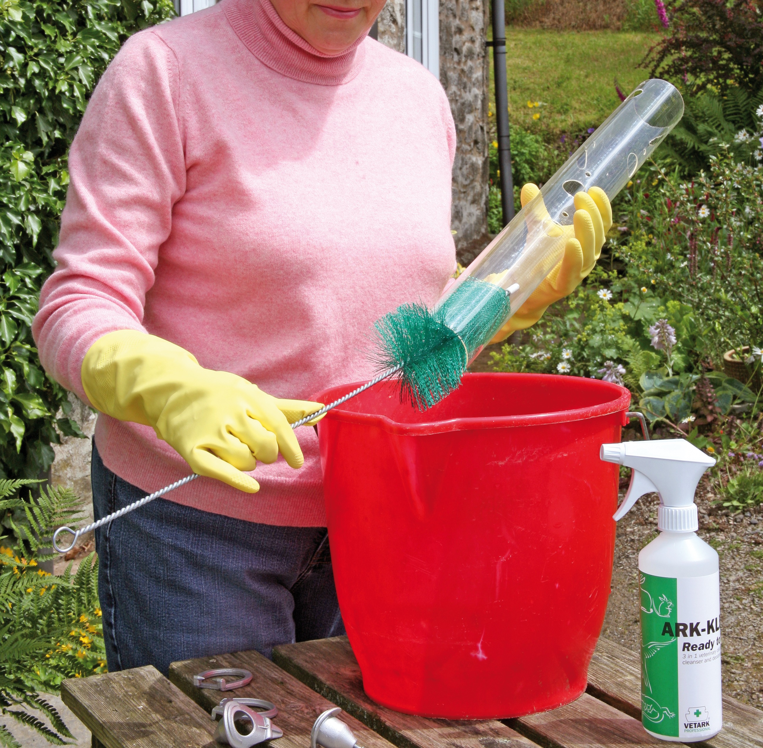Woodpecker on a tree