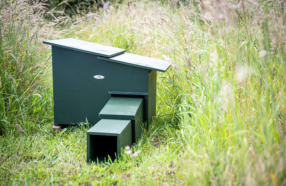 A professional hedgehog house made by CJ Wildbird.