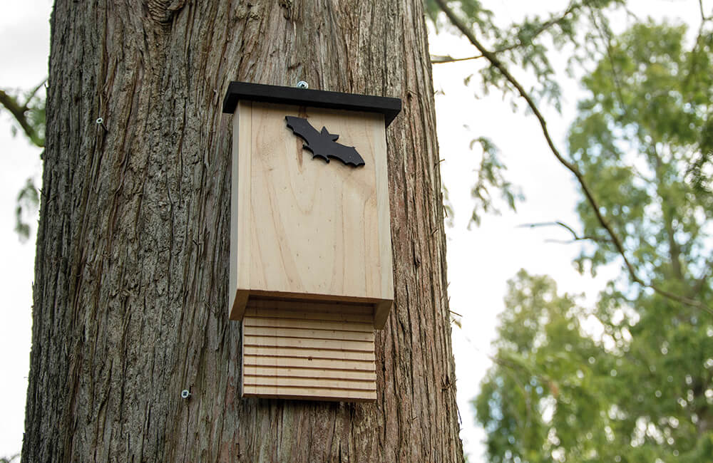 A wooden bat box on a tree