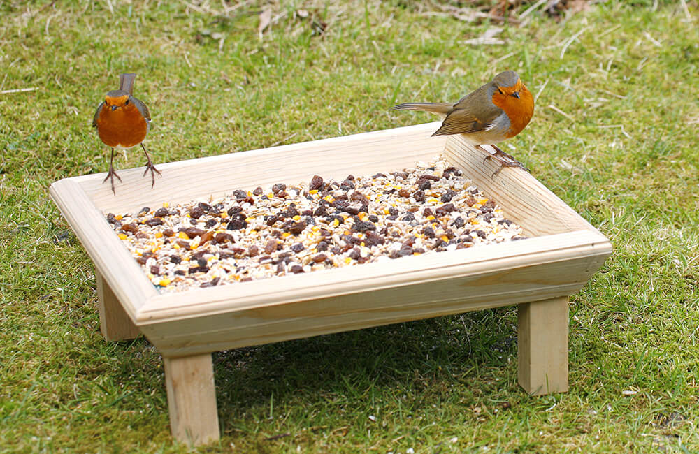 Two robins on a bird table with seed mix.