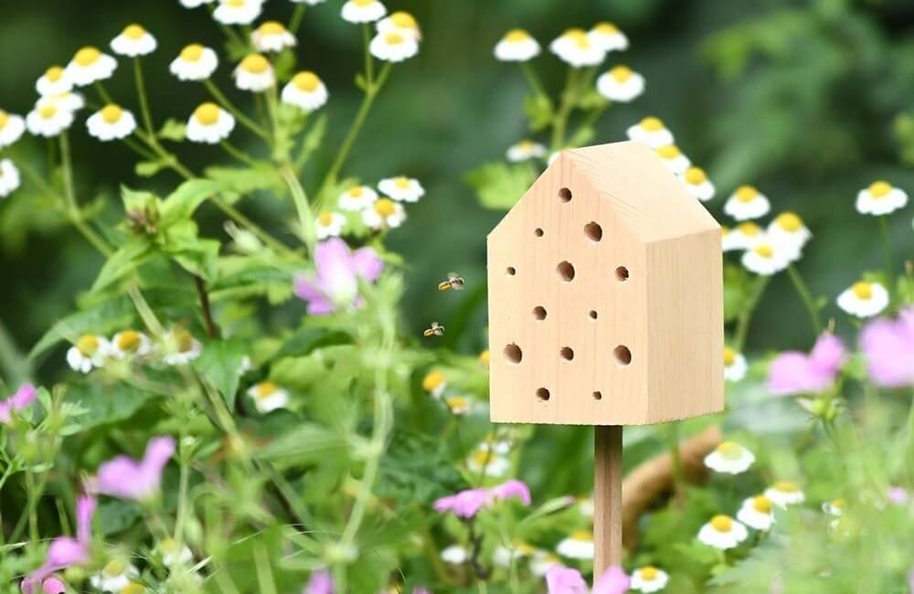 A small insect hotel inbetween some plants.