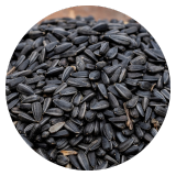 Black sunflower seeds