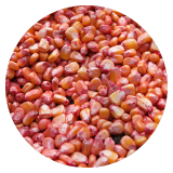 Broken (red) corn